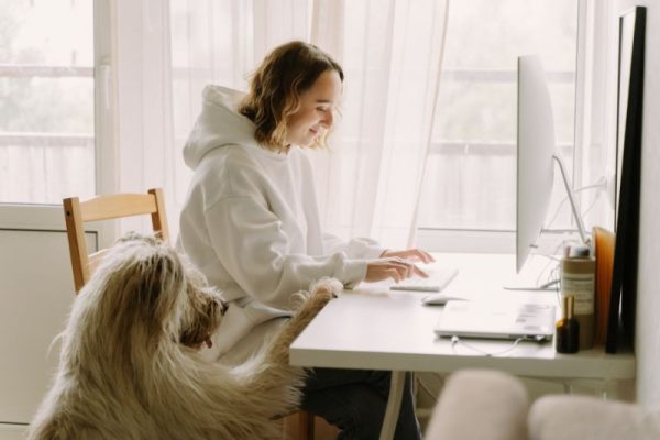 keywords-for-dog-grooming-businesses
